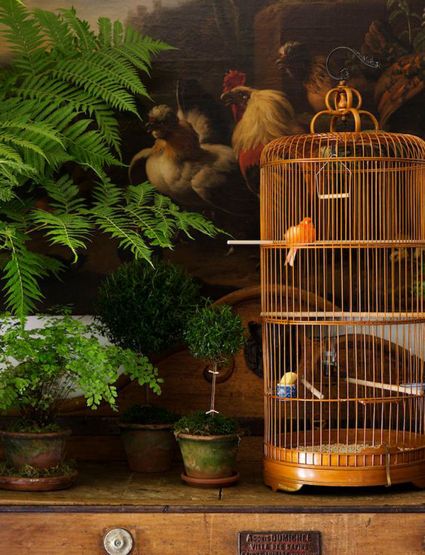 bamboo-vintage-bird-cage-ideas