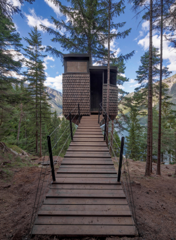 beautiful-woodnest-bridge-up-in-the-air