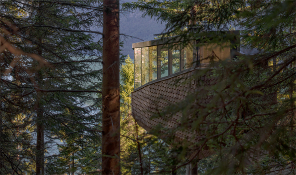 woodnest-cabin-in-pine-forest-norwegian