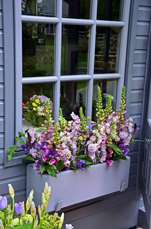 beautiful-window-boxes-with-purple-floral