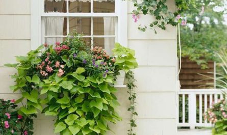 greenery-window-boxes-with-rustic-accents