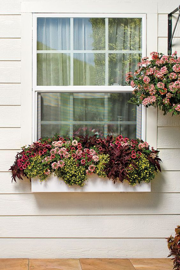 modern-window-boxes-plant-and-flower