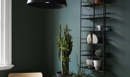 moody-green-dining-room-wall-paint