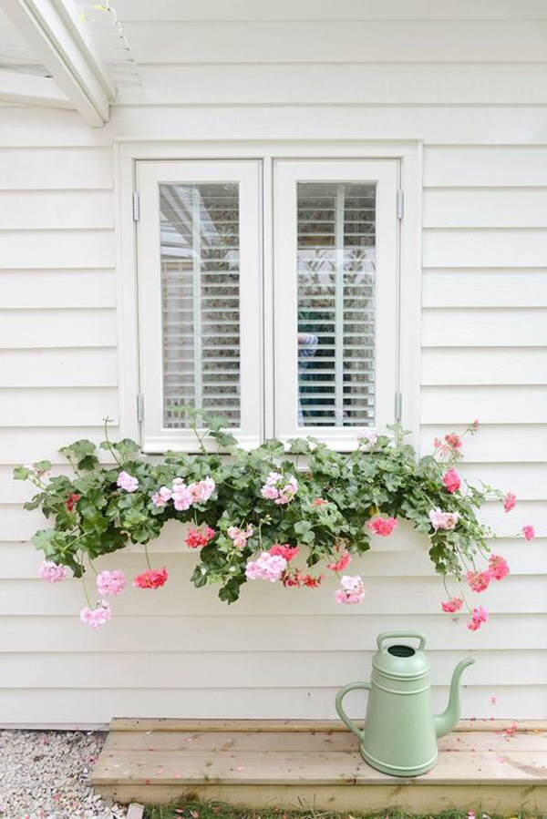pretty-window-boxes-floral-decor