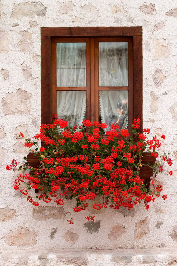 red-window-boxes-floral-decor