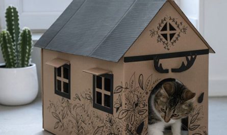 easy-diy-cat-house-decor-ideas
